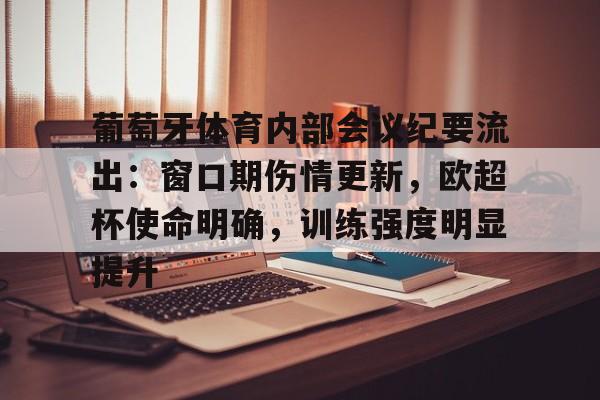 开云体育官网-葡萄牙体育内部会议纪要流出：窗口期伤情更新，欧超杯使命明确，训练强度明显提升的简单介绍