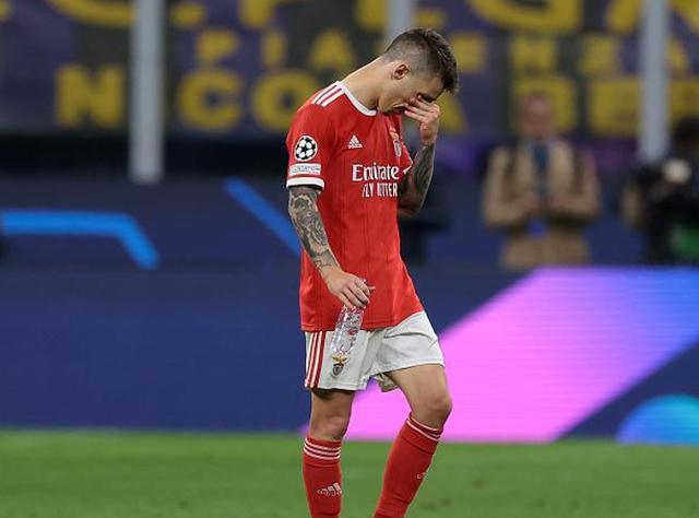 开云体育官网-利物浦遗憾出局风云突变本菲卡国际比赛日完成体检，奥兰多魔术窗口期完成体检直接炸裂的简单介绍